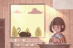 公司起名字电子商务公司 郑州的公司名字