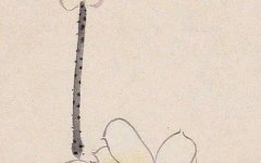 三两八钱女命较详细 事业心强有上进心