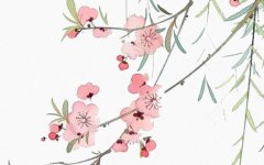 2022年4月5日出生的男宝宝命好吗 事业顺心 财富自由