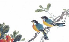 2022年夏至出生的虎宝宝 事业成就 贵人运旺