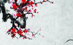 2022年夏至出生的男孩子命好吗 荣华富贵 平安之命