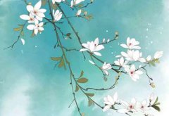 2022年8月1日出生的女孩子八字五行查询 能成大器 一生富贵