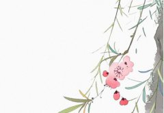 2022年8月4日出生的女宝宝生辰八字性格详解 一生钱财无忧