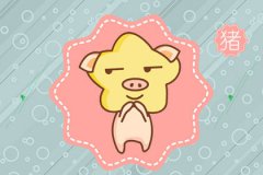 属猪和属蛇 属猪和属蛇相配么