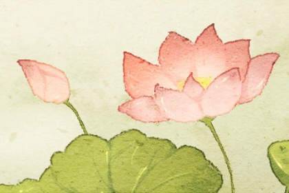 贪狼星入父母宫在子是什么意思