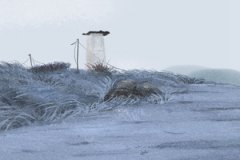 丙子日柱在2023癸卯年运势测算：有着非常不错的桃花运