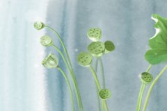 己卯日柱在2023癸卯年运势测算：适逢事业幸运之年