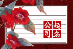 2023年摄影公司起名技巧：新颖好听的摄影公司名字