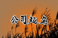 科技型公司起名技巧大集合：吸金招财的公司名字