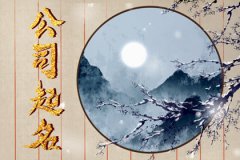 医药科技有限公司起名技巧：好听独特的公司名字