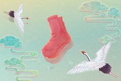 犯太岁2023属相运势预测：兔年五大犯太岁生肖