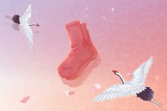 2023年生肖运势：今年什么生肖犯太岁？这三个生肖的人运势下降