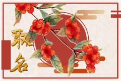 2023年小吃店铺起名字：简单旺财名字分享