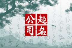 科技服务公司起名：大吉大利的科技公司名