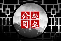 科技发展有限公司起名：100分的科技公司名字大全