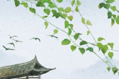 农历腊月十五出生预测命运：是什么命？一生幸运且财富繁荣