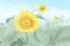 壬子日柱在2023癸卯年运势预测：万事亨通福至心灵