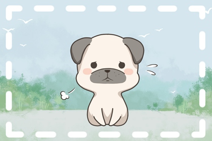 2023年有财运的生肖女 命中有贵人相助