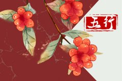 2023运势测算：属兔五行属什么 出生的人五行属什么命