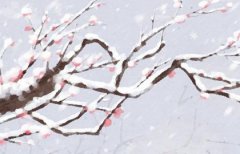 兔年闰二月出生预测命运：有啥说法？2023年闰月的宝宝命运详解