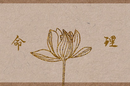 霹雳火命2023年运势 学业有成知识贯通 霹雳火命2023年运势 学业有成知识贯通