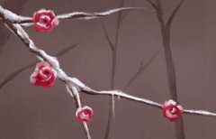 <b>2023兔年婚姻配对的八字：乙丑日柱桃花运充沛</b>