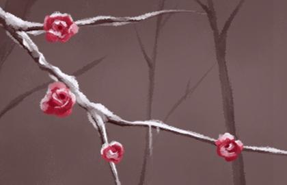 2023兔年会结婚的八字 乙丑日柱桃花运充沛