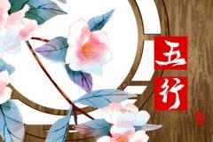 2023年预测命运：什么五行最旺？命盘中水最为旺盛