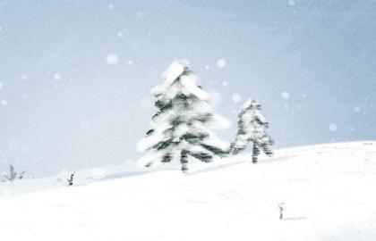 2023兔年好的生辰八字是什么 八字为木贵人相帮