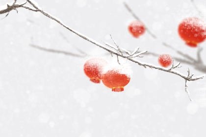 南方小年出生的女孩好不好 是什么命