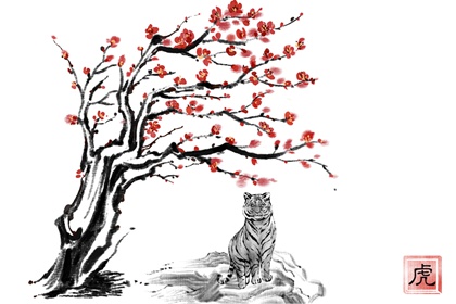 冬至出生的人一般命里缺什么 冬至出生的五行八字分析