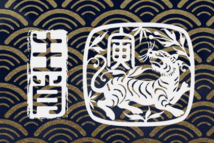 2022年虎年冬至男宝宝 富贵之气有福有财幸福无忧