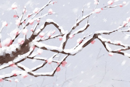 冬至祭祀有什么讲究 冬至祭拜祖先仪式程序