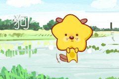 2023年生肖运势：宜生孩子的属相！适合生子的生肖