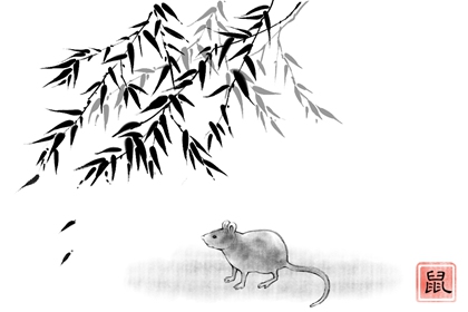 属鼠2023年多大年龄 2023年对属鼠的人好不