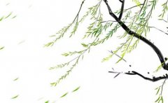 身强丙火2023流年癸卯预测命运：贵人运强势上进心常在