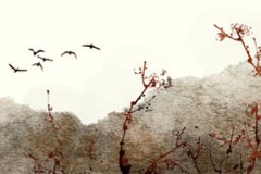 2023年庚寅日柱遇上癸卯流年预测命运：需开源节流积累财富