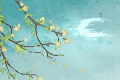 预测命运：聪明不过伤官意味着什么？伤官智商高的吓人