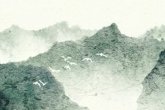 女人纯阴命预测命运是什么意思？长寿健康快乐一生