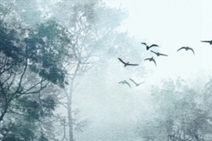 兔年除夕出生好不好 兔年除夕出生容易成功