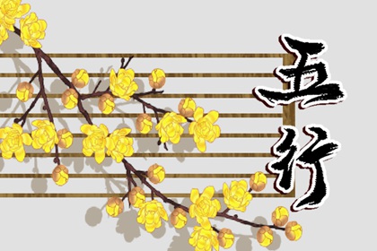 癸卯2023年五行属什么 六十甲子纳音