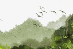 2023年婚姻配对：动婚姻宫的八字！丁丑日柱2023年则容易结婚