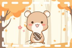 2023黑兔年2023黑兔年对哪些生肖不利：今年为什么是黑兔年