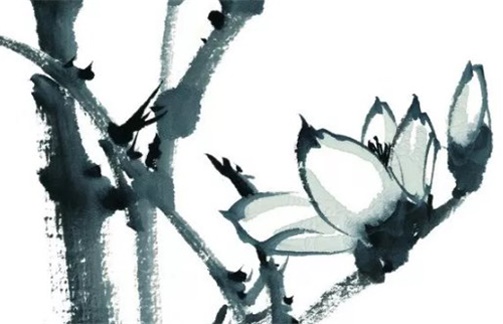 癸卯年是水旺还是木旺 癸卯喜用神总论