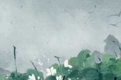 癸卯年不能生哪个月运势测算：2023癸卯年好命的出生月