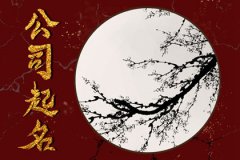 2023年公司三个字公司起名：三个字最吉利的公司名