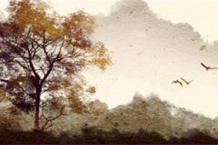 2023年最好的八字命盘运势测算:好运连连!成绩斐然