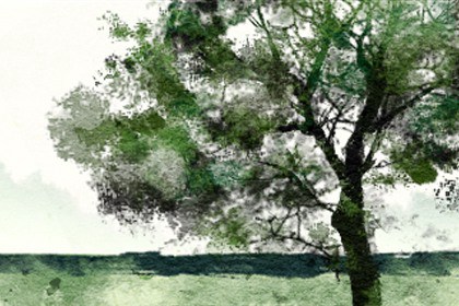 2023年遇正缘的八字 桃花旺盛 可能结婚 2023年遇正缘的八字 桃花旺盛 可能结婚