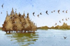 紫微七杀女预测命运非常厉害：这类女命性格如何