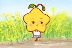 <b>2023年婚姻测算：会离婚的星座女，感情出现破裂</b>